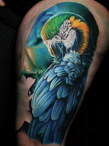 realistic blue parrot tattoo
